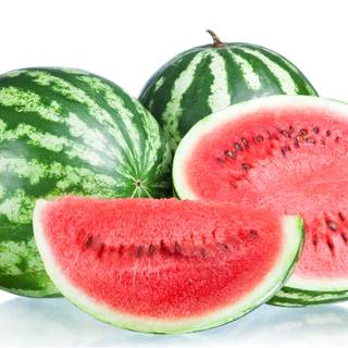 Watermelon fruit wallpaper