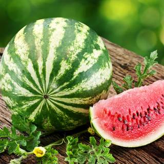 Watermelon fruit wallpaper