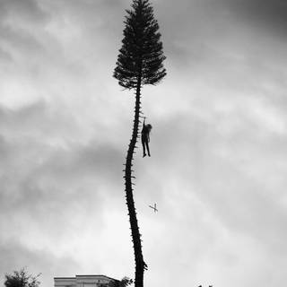 Manchester Orchestra wallpaper