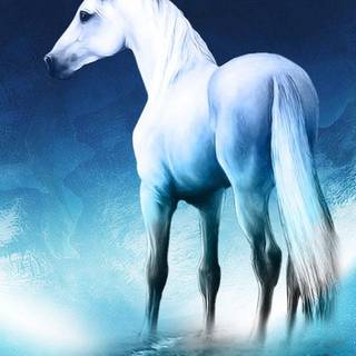 Unicorn iPhone wallpaper