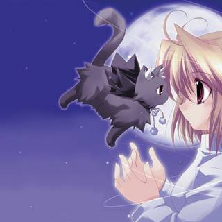 Cat anime PC wallpaper