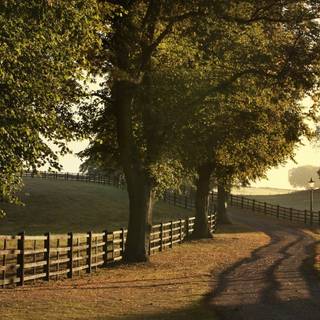 Rural landscape wallpaper