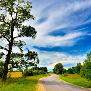 Rural landscape wallpaper
