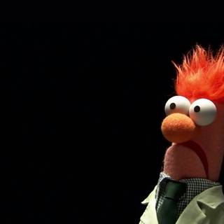 Muppets desktop wallpaper