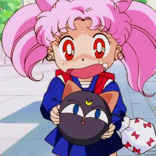 Sailor Moon R The Movie wallpaper