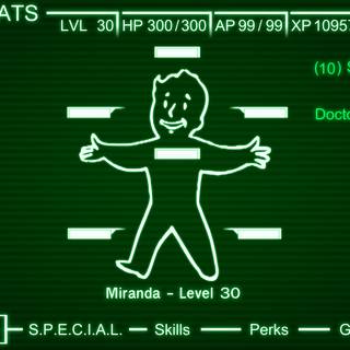 Fallout 4 Pip Boy wallpaper