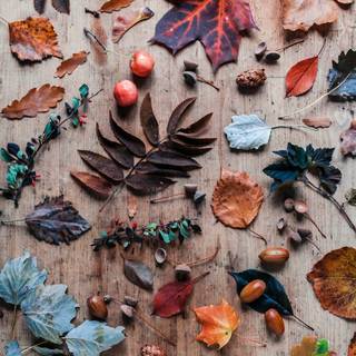 iPhone cottagecore wallpaper