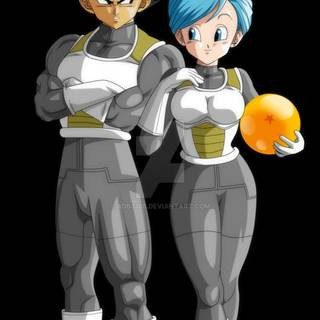Bulma Dragon Ball wallpaper