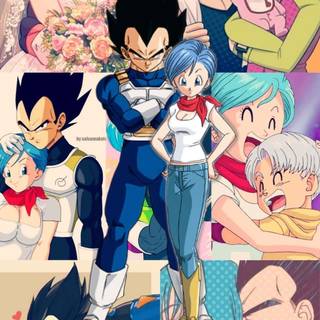 Bulma iPhone wallpaper