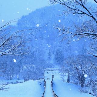 Winter 4k iPhone wallpaper