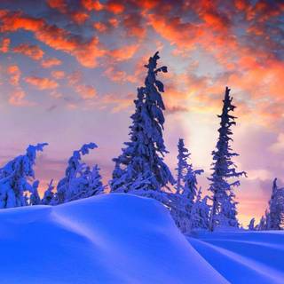 Winter 4k iPhone wallpaper