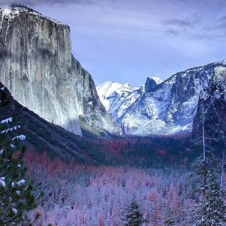 Winter 4k iPhone wallpaper