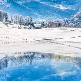 Winter 4k iPhone wallpaper