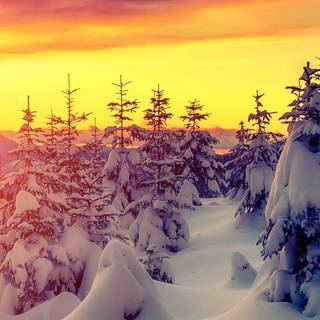 Winter 4k iPhone wallpaper