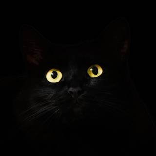 Black 4k iPad wallpaper