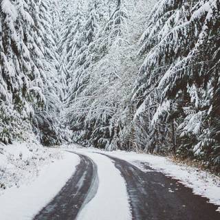 Winter 4k iPhone wallpaper