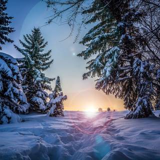 Winter 4k HD wallpaper