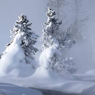 Winter 4k iPhone wallpaper