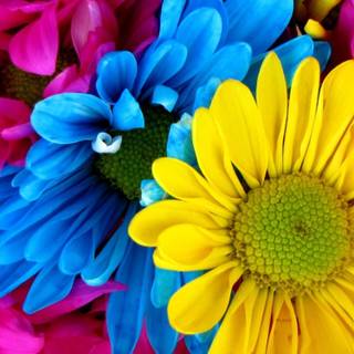 Colorful 4k mobile wallpaper