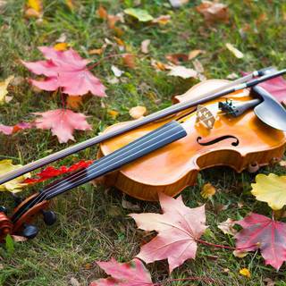 Violin autumn wallpaper