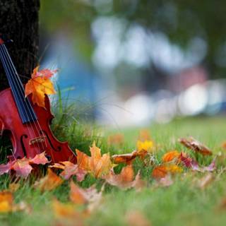 Violin autumn wallpaper