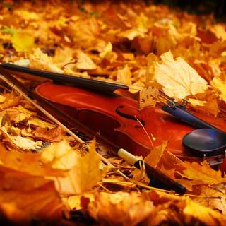 Violin autumn wallpaper