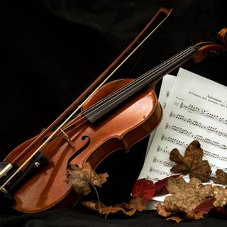 Violin autumn wallpaper