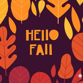 Purple and orange autumn wallpaper