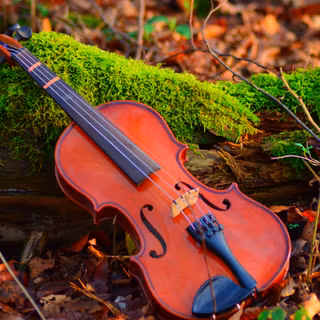 Violin autumn wallpaper