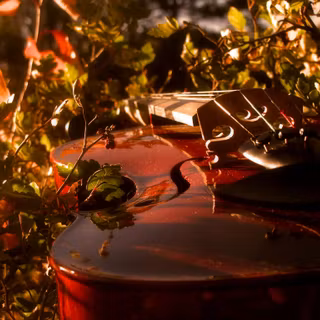 Violin autumn wallpaper