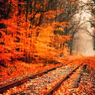 Autumn rail wallpaper