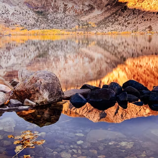 iPhone 11 Pro autumn wallpaper