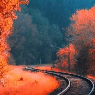 Autumn rail wallpaper