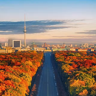 iPhone 11 Pro autumn wallpaper