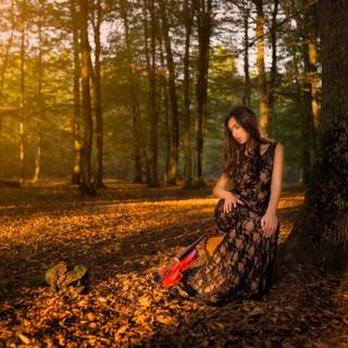 Violin autumn wallpaper