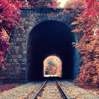 Autumn train tracks wallpaper