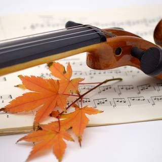 Violin autumn wallpaper