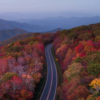 iPhone 11 Pro autumn wallpaper