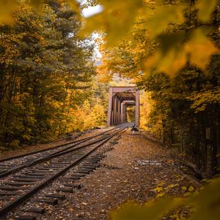 Autumn rail wallpaper