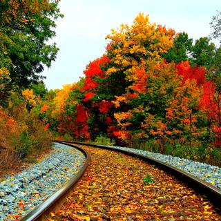 Autumn rail wallpaper
