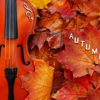 Violin autumn wallpaper