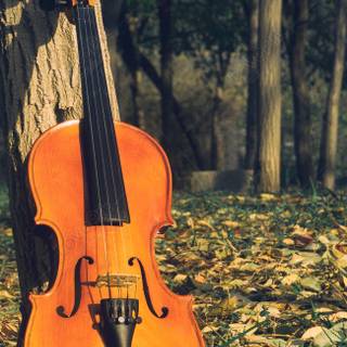 Violin autumn wallpaper