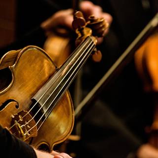 Violin autumn wallpaper