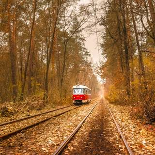 Autumn rail wallpaper