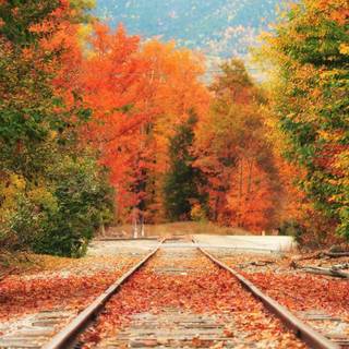 Autumn rail wallpaper
