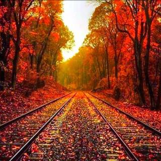 Autumn rail wallpaper