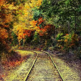 Autumn rail wallpaper