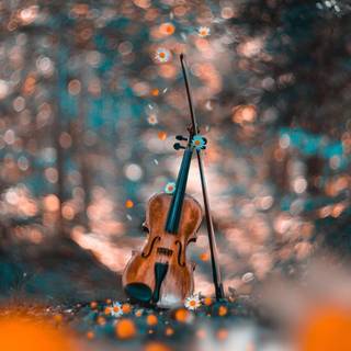 Violin autumn wallpaper