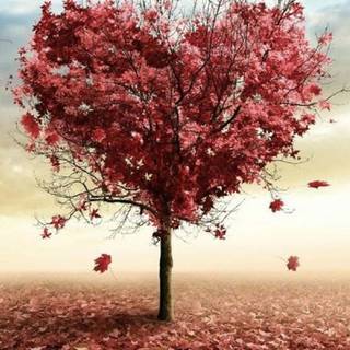 Cute autumn iPhone wallpaper