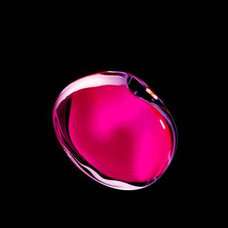 Blackpink 2024 wallpaper